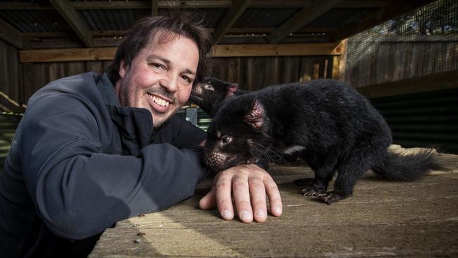 Bonorong Wildlife Sanctuary's Greg Irons with junior Tasmanian devils Phoenix and Mali is excited to be reopening tomorrow. Picture: LUKE BOWDEN