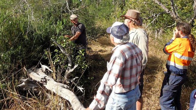 LANDCARE WORKSHOP: Scott Hall will be back in Mundubbera in late March for a syntropic agroforestry workshop. Picture: Contributed