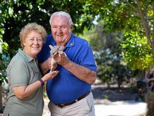 WILDLIFE WARRIOR: Ipswich man and co-founder of the Save the Bilby Fund Frank Manthey passed away this week. Picture: Rob Williams