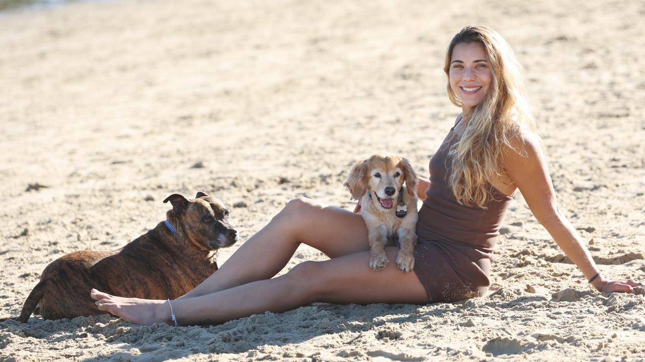 Full list: Coast suburbs where dogs will be banned at parks and beaches