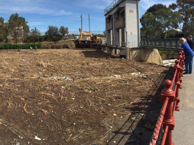 The sludge that built up at the Torrens River weir. Picture: Roy Van Der Vegt