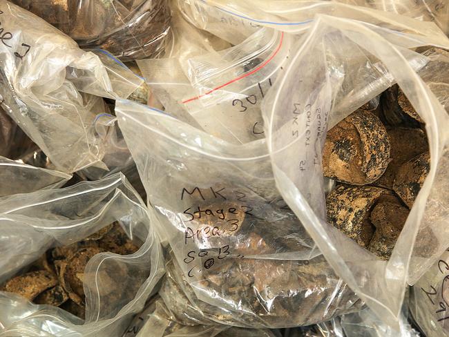 More bagged artifacts have been sorted and labelled. Picture: Ian Currie