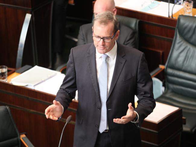 Health Minister Michael Ferguson speaking in State Parliament today. Picture: DAVID KILLICK