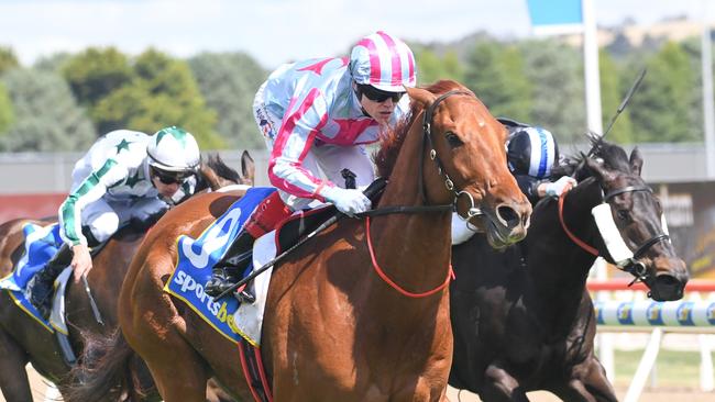 Mrs Chrissie (NZ) ridden by Craig Williams wins the Ballarat Volkswagen Tonks Plate at Sportsbet-Ballarat Racecourse on December 07, 2024 in Ballarat, Australia. (Photo by Brett Holburt/Racing Photos via Getty Images)