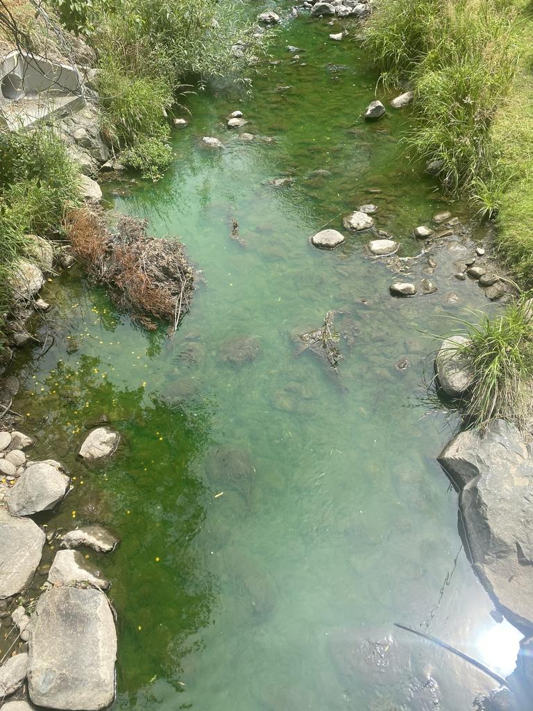 A section of the Hobart rivulet on Monday. Pic: Harry Schofield.