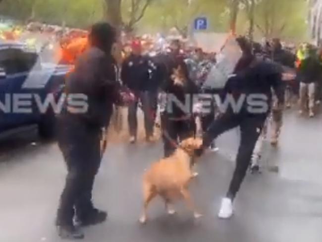 Screen grab twitter @paul_dowsley - A man is seen kicking a dog during a confrontation outside the CFMEU HQ in Melbourne.