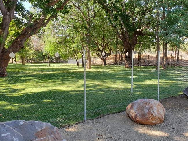 The completed flying-fox park on Young's Block near Charters Towers has been established for the bat colony. Fences keep predators out and sprinklers will keep the flying foxes happy and cool. Everything is ready – they just need the colony to use it.