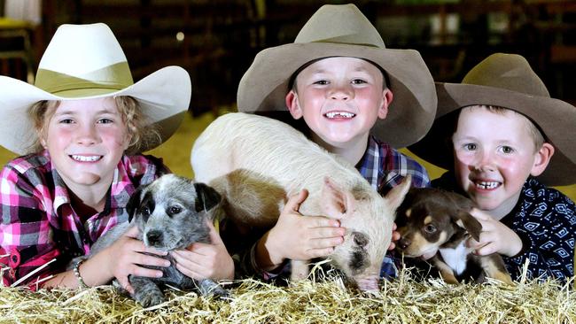 L to R, Rubi Greenup 9yrs, James Greenup 7yrs, Rory Greenup 6yrs, from Kingarory, at the day before the Ekka opens- 7/8/2014 - Photo Steve Pohlner