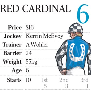 Melbourne Cup 2017 colours and stats