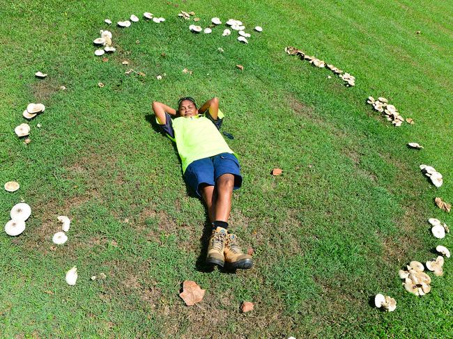 Lauren Brackenridge among the mushrooms in the park on Church St, West End. Photo: Scott Radford-Chisholm