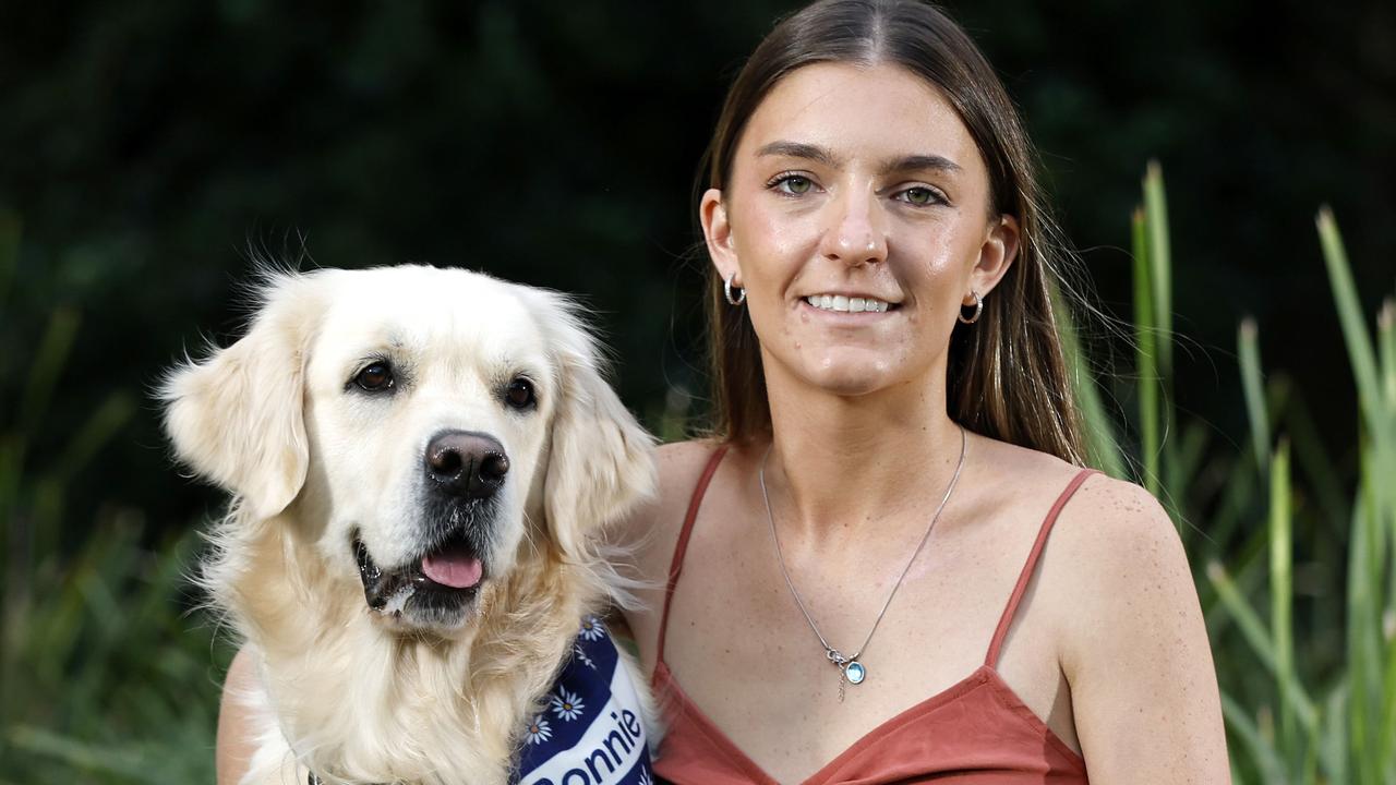 My dog saved my life after my nightmare car crash