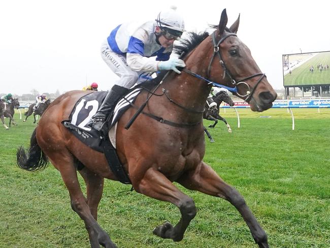 Little Jack ridden by Jason Maskiell wins the Become an MRC Member Handicap at Caulfield Racecourse on June 29, 2024 in Caulfield, Australia. (Photo by Scott Barbour/Racing Photos via Getty Images)