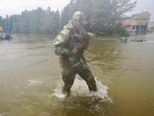 A rescue worker carries two dogs to safety after evacuating their family from floodwaters from Tropical Storm Harvey Sunday, Aug. 27, 2017, in Houston, Texas. Picture: AP