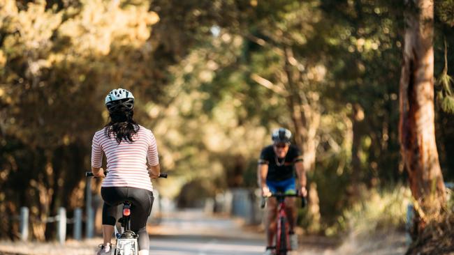 Picture of cyclist at popular Fernleigh track. Lifestyle Photographer, Kat Stanley