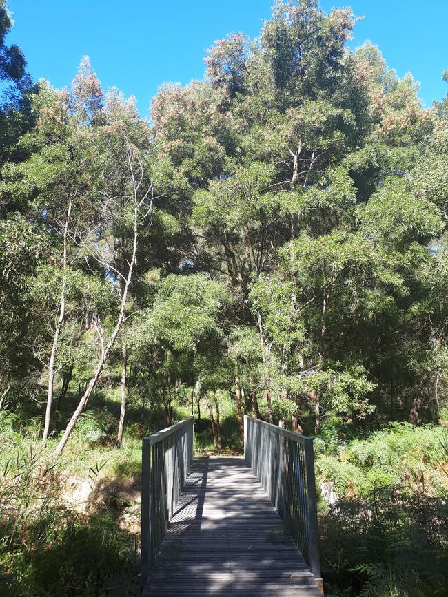 Aldgate Valley Nature Walk. Picture: Michelle Etheridge