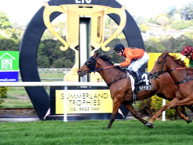 Ryan Maloney rides a winner at Lismore. Local racing will continue for now. Photo  Marc Stapelberg