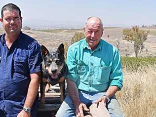 Traprock Orchard employee Phil Davies with Bonnie and orchard owner John Pratt.