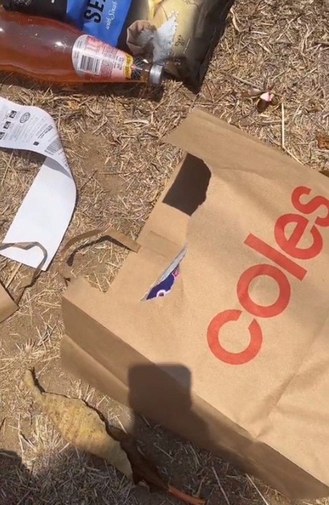 Coles has defended paper bags after customer anger over ripped bag. Picture: TikTok