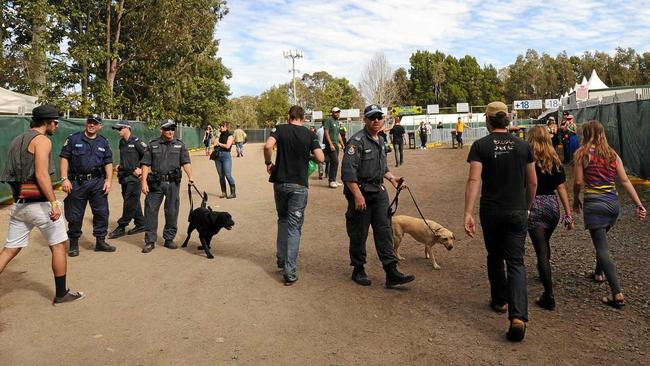 Police sniffer dogs at Splendour in the Grass festival 2017.