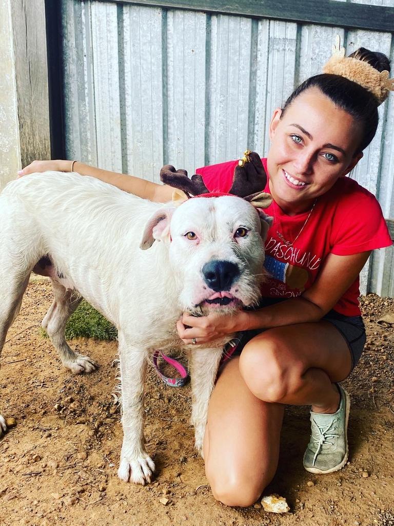 Volunteers brought Christmas cheer to the animals at the Brave Companion Dog Rescue Centre in Laidley on Christmas Day.