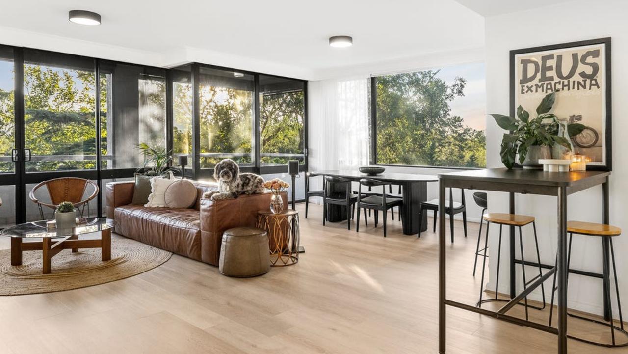 Ticketmaster head honcho Gavin Taylor has listed the Melbourne apartment where he and his family have lived with their pet dog Alby (pictured) for the past four years.