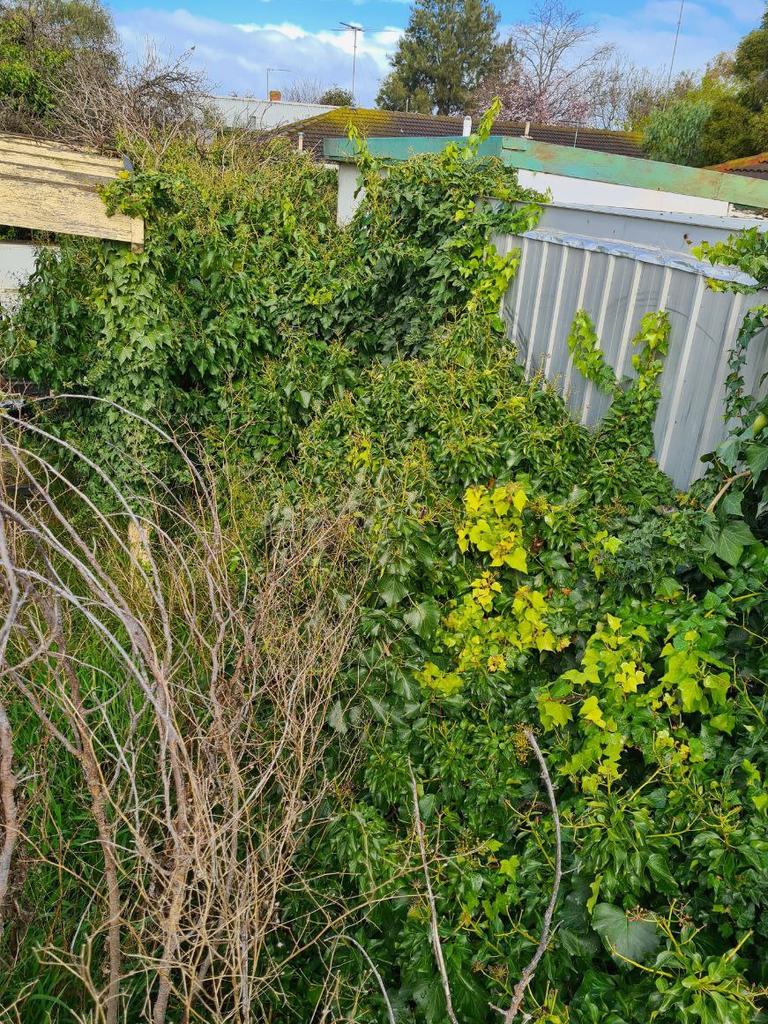 Images of an Aboriginal Housing Victoria home in St Albans Park.