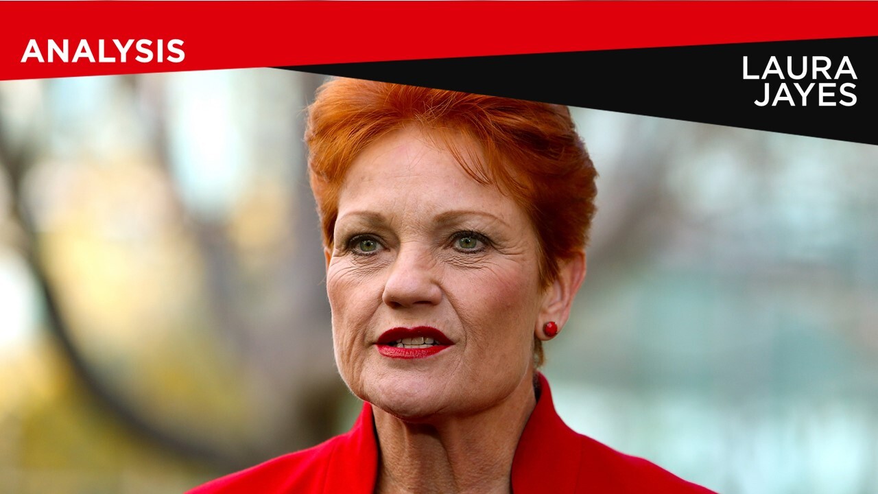 Pauline Hanson needs to explain 'sickening' NRA reports: Birmingham