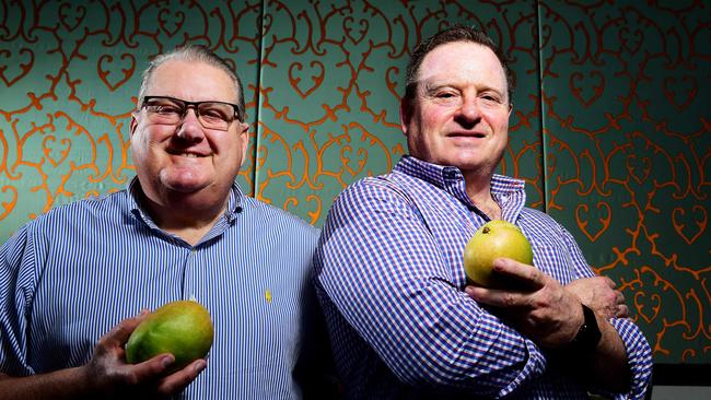 Sydney Markets Limited, Chairman John Pearson and chief executive Brad Lathlam are in the Top End to tell mango growers how much the rest of Australia love our product.Picture: Justin Kennedy