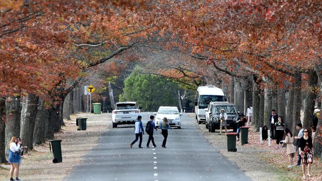 The State Government has promised to protect the Macedon Ranges from over-development.