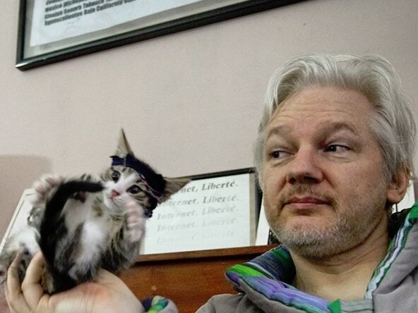 Julian Assange when he was in the embassy with his cat. Picture: Supplied