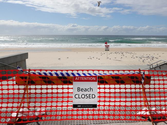 Only seagulls enjoy Surfers Paradise beach which has been closed during the Covid-19 pandemic. Picture Glenn Hampson