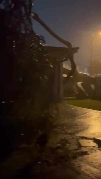 Footage from the night a tree fell on Lizzy Burke's Elanora home