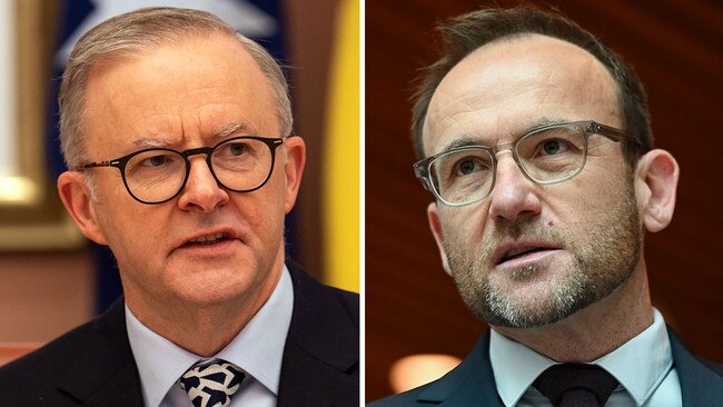 Anthony Albanese and Adam Bandt.