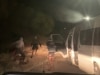 Alice Springs principal begs for gov't help following terrifying bus footage