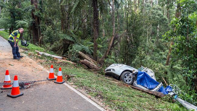 Three people have died after a tree is believed to have fallen on a car in Melbourne’s outer south east. Picture: Jake Nowakowski