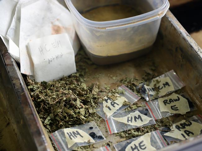 The processed Kratom belonging to Australian Travis James McLeod during press conference at Denpasar Police Station. Picture. Lukman S. Bintoro