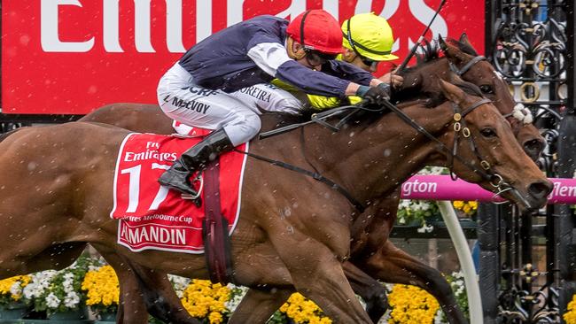 Almandin will carry 56.5kg in this year’s Melbourne Cup, 4.5 kilos more than he carried to victory last year. Picture: Jake Nowakowski