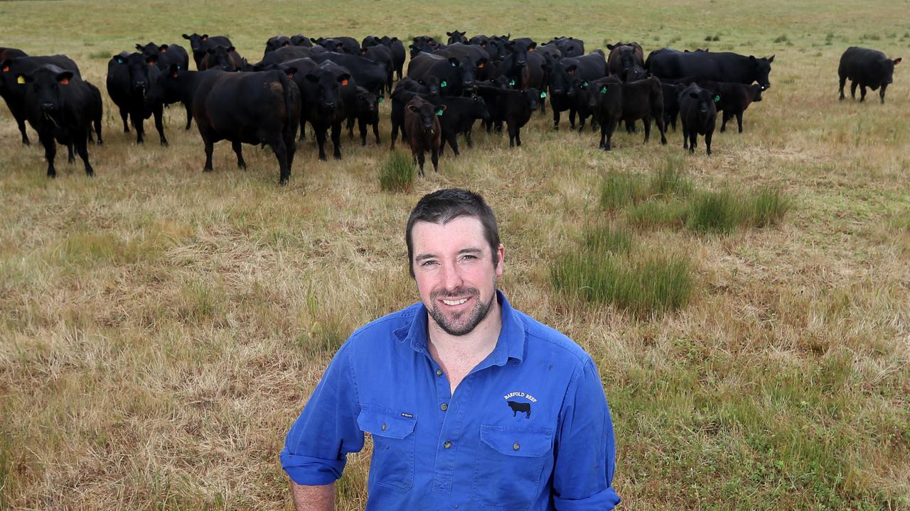 Different approach: Matt Shea’s decision to lease country and agistment has freed up capital to invest in the quality of the cattle. Picture: Yuri Kouzmin