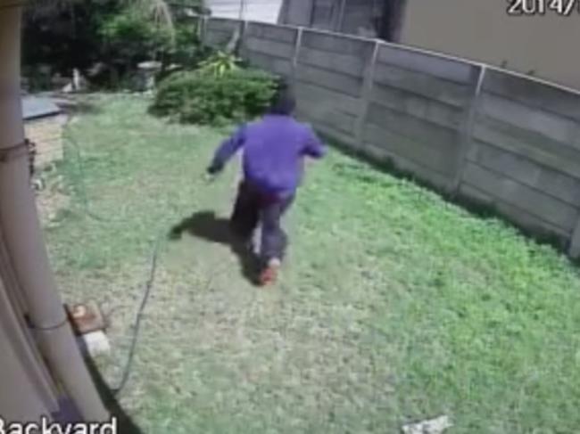 Busted: The attempted robber runs from the guard dog.