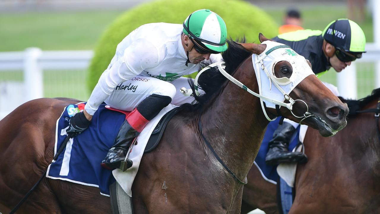 Richard Laming says Our Benefactor has earned a crack at the Group 1 Randwick Guineas. Picture: Grant Peters/Trackside Photography