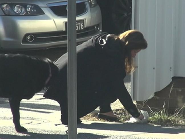 An Emma Husar staff member taking Husar's dog for a walk and cleaning up after it. Picture: Seven News