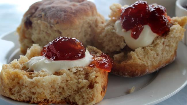 ESCAPE: SUNSHINE COAST HINTERLAND .. for Kerry Heaney story .. Scones and jam at Maleny Botanic Gardens. Picture: Supplied