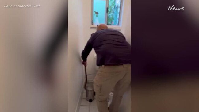 3-Foot Red-Bellied Black Snake Removed From Bathroom