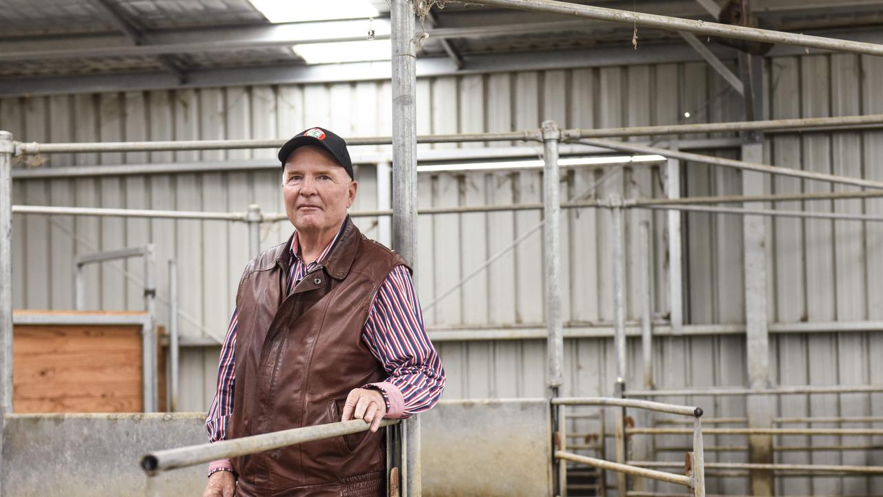 Sheep producer Gordon Brown, Shelburn, at the Glendemar Merino field day at his property.  Photo: DANNIKA BONSER