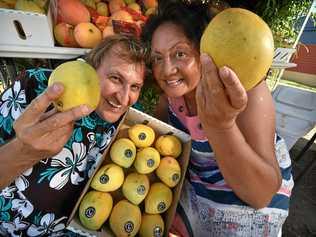 Russell Craig and Pasilika Gaiutau-Craig warming up for the summer mango season. Picture: Warren Lynam