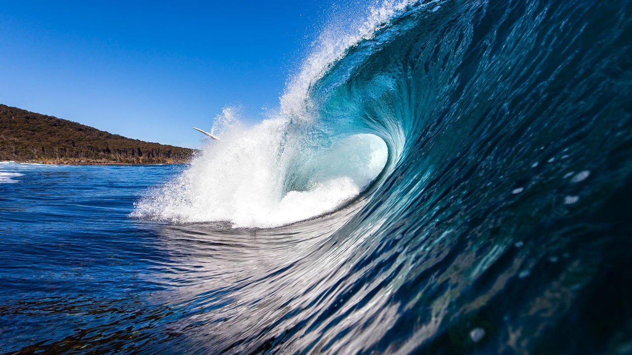 14 people you'll meet in Jervis Bay | escape.com.au