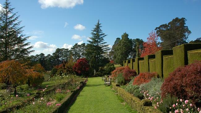 Kookaburra is a cold climate garden across 4ha in NSW’s Blue Mountains.