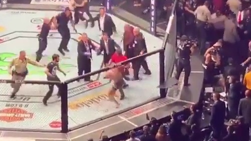 Screen grabs show the brawl between Conor McGregor and Khabib Nurmagomedov after their UFC lightweight championship fight at T-Mobile Arena in Las Vegas.