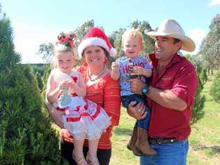 READY FOR HARVEST: Katrina, Evelyn, West and Brad Fraser are excited to deliver their first Christmas tree harvest. Picture: Liana Walker