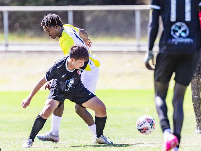 Players participating at the Multicultural Cup on Cornelian Bay sports fields.Picture: Linda Higginson